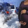 [사이언스 브런치] 대기오염, 온난화 일으키더니 영유아 사망률도 높여