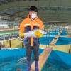 국내산 대서양연어 식탁에… 강원 동해안 새 양식산업 보고로