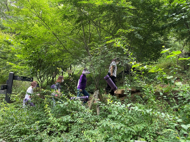 서울 양천구의 산림치유프로그램 활동 장면. 양천구 제공