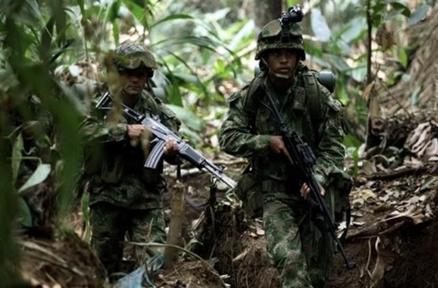 2000년대 이후 미국의 지원을 받아 마약과의 전쟁인 ‘플랜 콜롬비아’ 캠페인을 전개 중인 콜롬비아 군대는 많은 게릴라전 경험을 지니고 있다. 사진은 2010년 콜롬비아군이 남부 마카레나 일대를 수색하고 있다.  마카레나 AP 연합뉴스