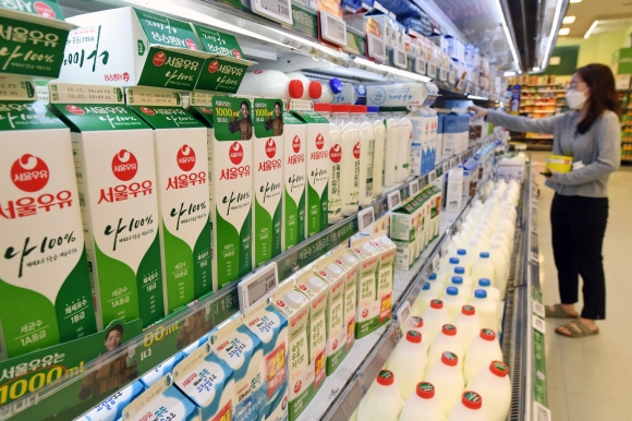 5일 오후 서울의 한 대형마트에서 고객이 우유를 고르고 있다. 이달 들어 우유가격이 일제히 오르면서 대형마트 내 흰우유 1리터 가격이 2000원대 후반이 되자 수입 멸균 우유 등 대체 상품 시장이 커질 것으로 예상된다. 2021.10.5. 도준석 기자 pado@seoul.co.kr