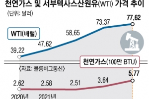 석유·석탄·가스 전부 최고가… ‘에너지發 인플레’ 겨울이 온다