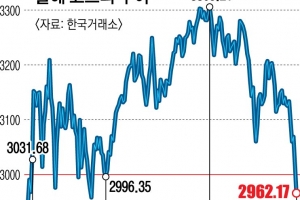 3000선 붕괴 ‘코스피 쇼크’