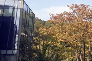 “집값 50억 수표로 지불”…천화동인 1호, 62억원 중 12억4000만원만 계좌이체