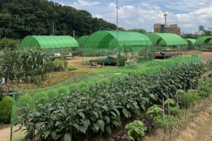 금천 “주민 여러분 캠핑농장에서 힐링하세요”