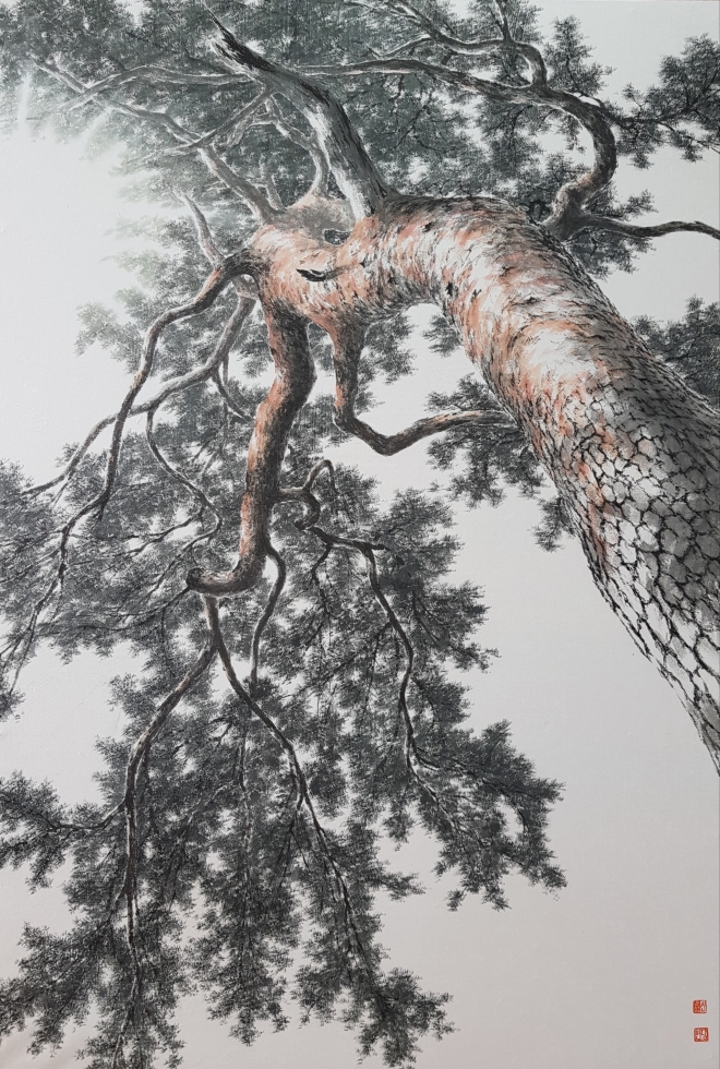 신은섭, pine tree-올려보기, 80x117cm, 순지에 수묵담채