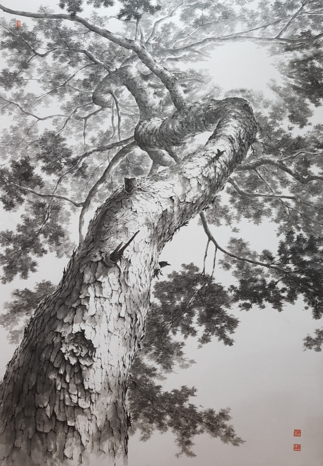 신은섭, pine tree-올려보기, 112x162cm, 순지에 수묵