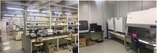 울산과학기술원(UNIST) 게놈산업기술센터 게놈랩(왼쪽)과 세포배양실.