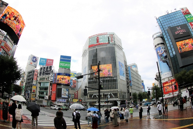 　일본 도쿄 시부야의 대형 전광판 다섯 곳에 내걸린 ‘쿠키런: 킹덤’의 광고. 　데브시스터즈 제공