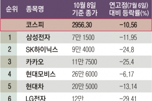 우량주 산 개미 더 많이 잃었다… 3개월 만에 시총 182조 날려