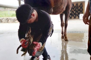 “말 신발 장인 될게요”… 고교생 첫 국가자격 장제사 합격