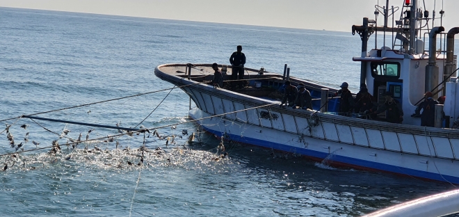인천 연평어장에서 꽃게잡이 하는 어선(인천시 제공)