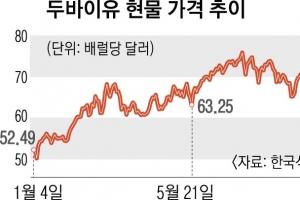 ‘체감 유가’ 100달러 육박… 유류세 인하 힘 받나