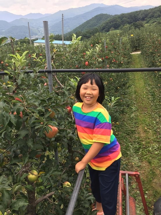 경남 함양에서 가족이 사과농사를 짓는 마세아양의 모습. 초록우산어린이재단 제공