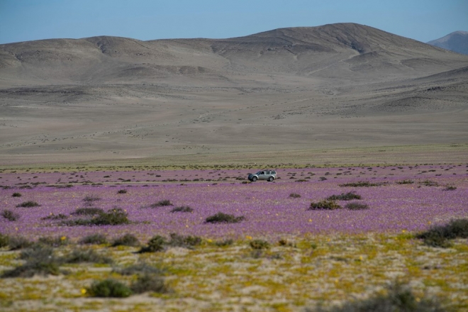 칠레의 아타카마 사막의 모습. 사진=AFP 연합뉴스