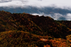 팔공산 국립공원 지정 속도 낸다… 환경부 용역 착수 보고회 개최