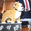 ‘개 인형’ 때문에 국감서 소동…이재명 “‘양두구육’은 국민의힘”