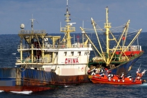 불법 조업 중국 어선 나포
