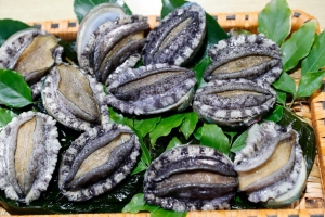 ‘김포판 대장동’… 전복 37만원어치에 민관 개발 길 터준 시의원들