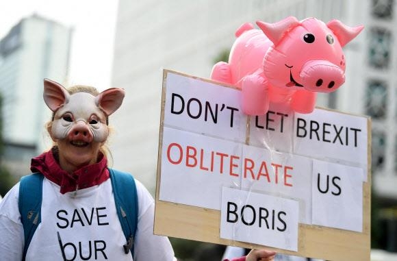 지난 4일(현지시간) 영국 맨체스터에서 열린 집권 보수당 전당대회 행사장 앞에서 양돈업계 종사자가 돼지 마스크를 쓰고 돼지 도축·가공 인력 부족 사태에 항의하는 시위를 벌이고 있다.  맨체스터 AP 연합뉴스
