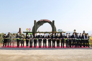 마산국화축제 27일 개막, 형형색색 국화작품 3700여점 전시