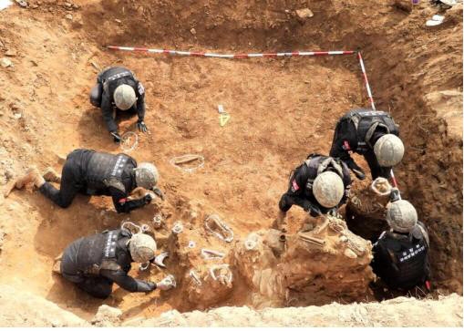 군 장병들이 강원 철원군 비무장지대(DMZ) 백마고지 일대에서 유해발굴을 진행하고 있다. 국방부 제공