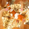 [포토] 서귀포 섶섬 앞바다에 정착한 아열대종 ‘섹시 새우’