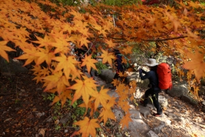 가을 정취 속으로