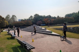 반려견 놀이터·구조 업체…  ‘동물의 천국’ 마포