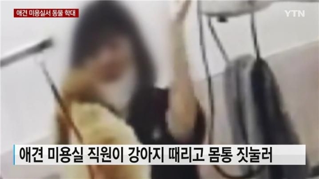 애견 미용실 직원이 생후 9개월 된 강아지를 미용하는 과정에서 팔로 짓누르고 때리는 등 학대하는 모습이 담긴 CCTV 영상. YTN 캡처