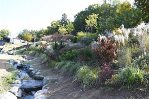 더 길어진 산책로… 노원 더불어숲 재개장