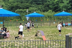 경남 창원에서 첫 반려동물 문화축제