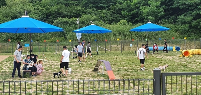 창원시 성산구 상복동 반려동물 놀이터