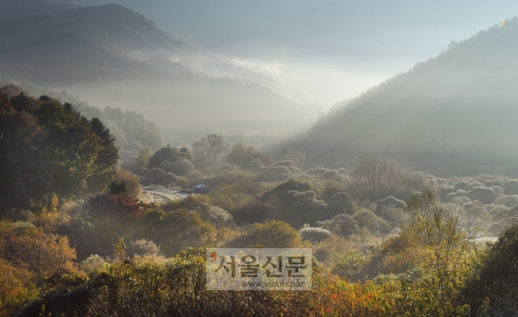 인제 갑둔리의 ‘비밀의 정원’ 새벽 풍경. 안개가 자주 끼고 서리가 내리기 시작하는 이맘때 절정의 풍경을 선사한다. ‘풍경의 골든타임’인 동틀녘에 찾아야 그림 같은 풍경과 마주할 수 있다.