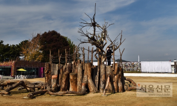 홍천 와동분교에는 한석현 작가의 ‘다시, 나무’ 등 다양한 조형미술 작품이 전시돼 있다.