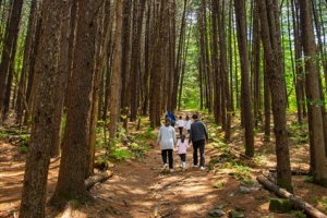 박경리 그리며 치악산 숲길 따라… ‘문화 순례길’ 거닐다