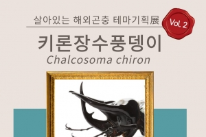 여주곤충박물관 ‘살아있는 해외 곤충 展’…두 번째 테마 기획전시 열려