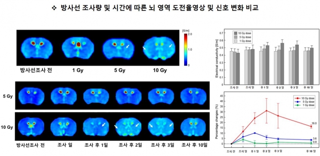 방사선 조사량과 시간에 따른 뇌의 도전율 변화 모습  한국원자력의학원 제공
