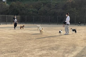 송파에서 맘껏 뛰어놀개