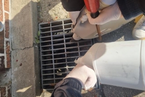 서초 ‘겨울모기’ 대소탕… 내년 3월까지 집중방제