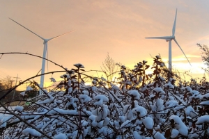 [포토] 대관령..소복이 쌓인 첫눈