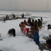 [나우뉴스] 눈 내린 인도 뉴델리 강? 알고보니 오염으로 생긴 ‘흰 거품’