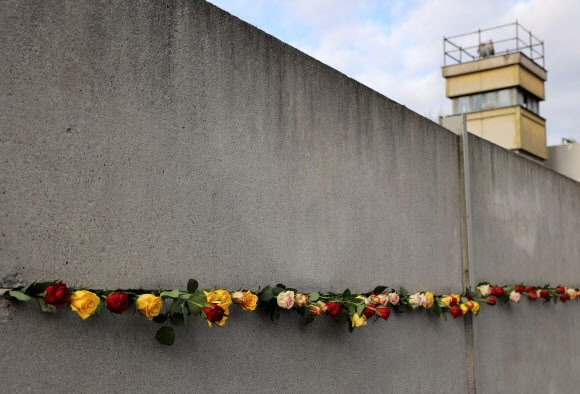 ‘붕괴 32주년’ 독일 베를린 장벽에 꽂힌 장미꽃