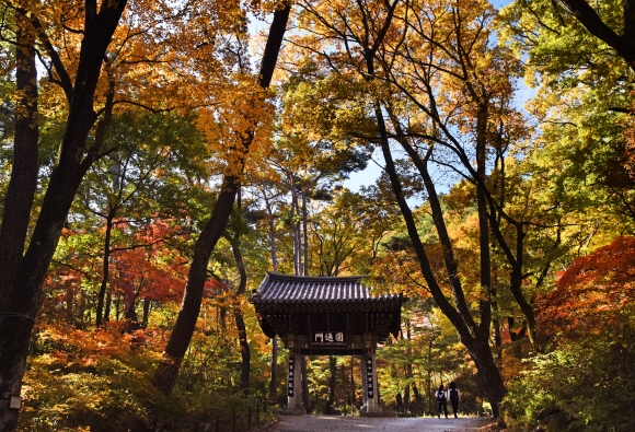 구룡사 들머리인 원통문 일대에 만추의 풍경이 차분히 내려앉았다. 치악산 둘레길에선 이런 풍경들과 만날 수 있다.