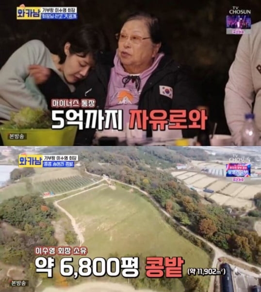 ‘와카남’에 출연한 이수영 회장. TV조선 방송화면 캡처