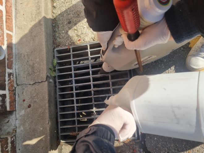 서울 서초구 관계자들이 하수구, 정화조, 빗물 펌프장 등 겨울철 모기가 서식하는 시설물을 대상으로 유충 방제 작업을 하고 있다. 서초구 제공 