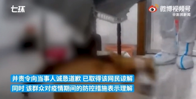 방역요원들이 코로나19 격리자 푸씨의 집에서 반려견을 때리는 모습. 2021.11.13  웨이보 캡처
