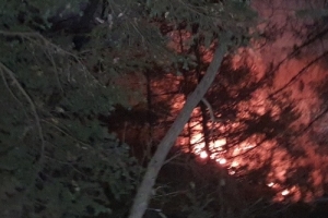 남양주 천마산 방화 추정 산불…밤샘 진화 5만2000㎡ 피해