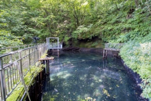 [단독]울릉군 추산 용천수 먹는샘물 개발 사업 중단 위기…불법 허가가 원인
