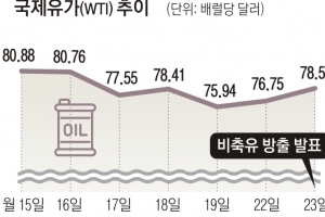 美비축유 추가 방출 시사에도…국제유가는 2% 올라 ‘역부족’